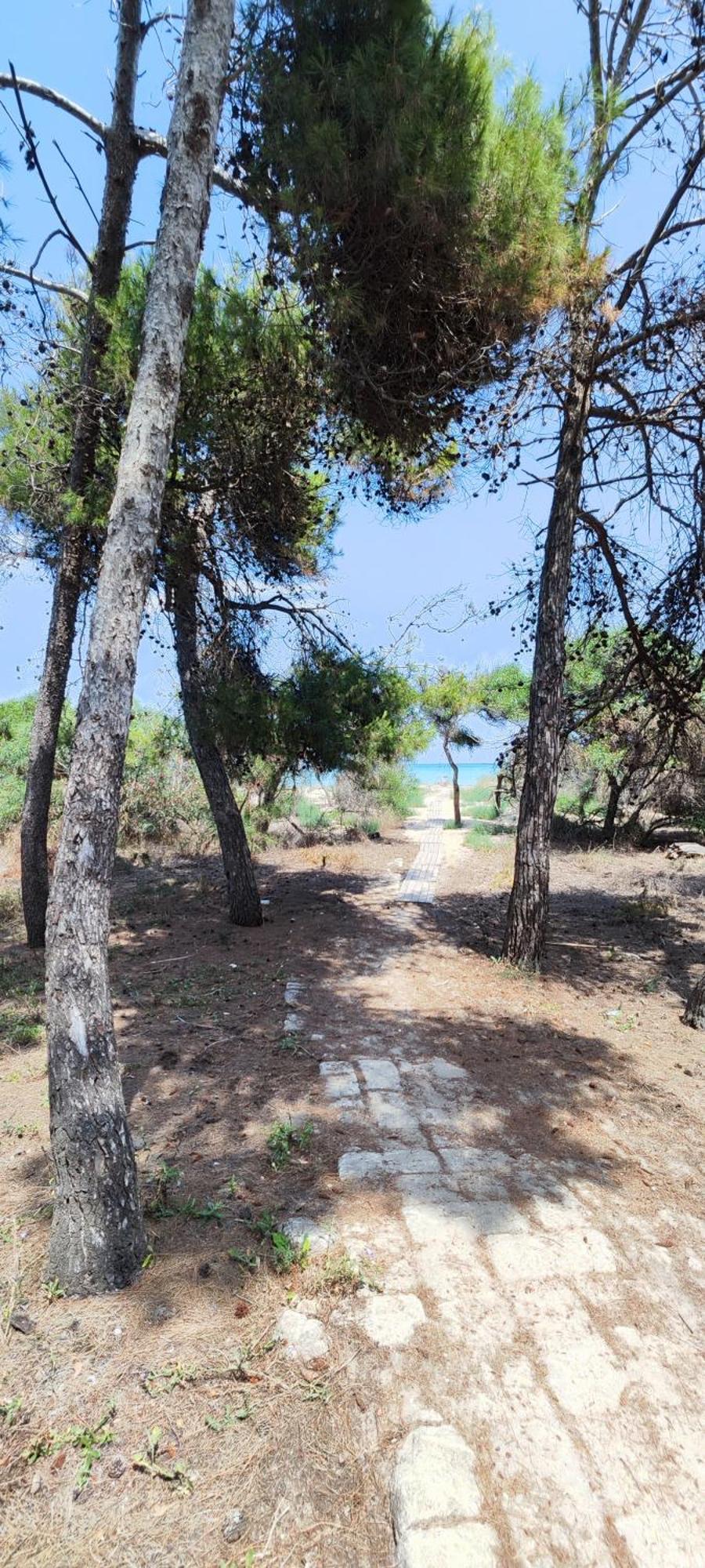 Oasis Escape Villa Vaccarizzo-Delfino Екстериор снимка